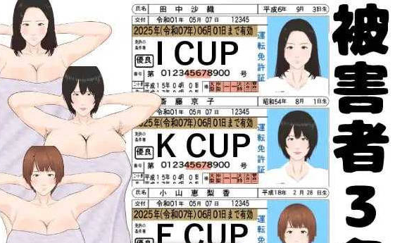 [日系/露出/官中/SLG游戏]全裸审讯模拟器 官方中文步兵版+日系触摸互动SLG游戏+650M