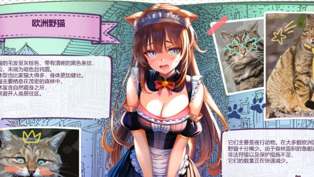 [日系/新作/步兵]猫娘百科：寻找她的小尾巴 官方中文版+日系探索SLG游戏+2G